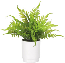 Kunstmatige varen in een witte pot voor interieurdecoratie.