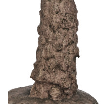 Terrariumdecoratie in de vorm van een boomstam met gestructureerde schorslook.