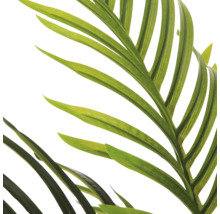 Detailopname van een groen palmblad van een kunstplant met fijne bladstructuur.
