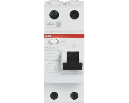 ABB aardlekschakelaar FH202 A, 2-polig, 63 Ampere, 0,03 Ampere lekstroom, inclusief testknop en schakelaar.