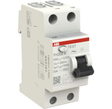 ABB aardlekschakelaar FH202 A van kunststof, lichtgrijs, 2-polig, 63 Ampère, 30 Milliampère, 230 Volt.