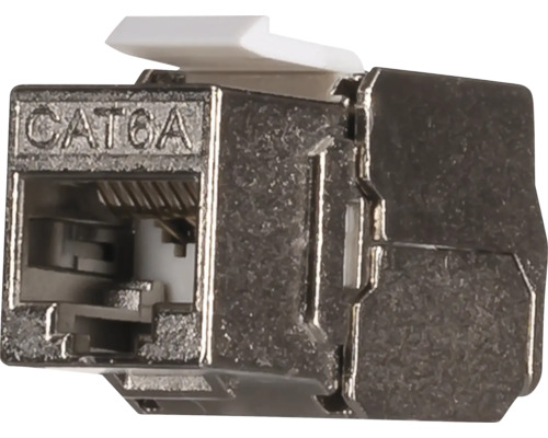 Afgeschermde CAT 6A RJ45 keystone module voor netwerkverbindingen.