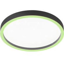 Ronde LED plafondlamp met zwart frame, witte diffuser en groene lichtring.