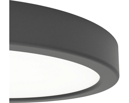 Detailweergave van een ronde, vlakke LED plafondlamp met een donkergrijs, gestructureerd frame en een witte diffuser.