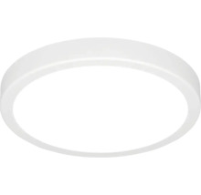 Ronde LED-plafondlamp in wit met kunststof afdekking.