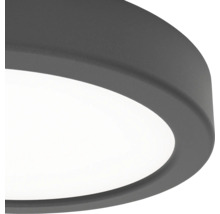 Detailopname van een platte, ronde plafondlamp met een donkergrijs frame en een witte afdekking.