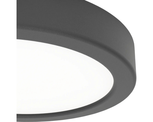 Detailopname van een platte, ronde plafondlamp met een donkergrijs frame en een witte afdekking.