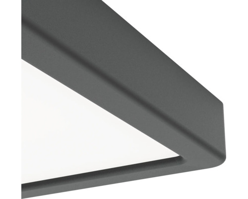 Detailweergave van de hoek van een moderne plafondlamp met een donker metalen frame en witte diffusor.