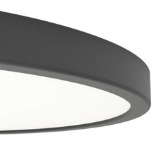 Detailopname van een platte, ronde LED-plafondlamp met een donkergrijs metalen frame en witte diffuser.