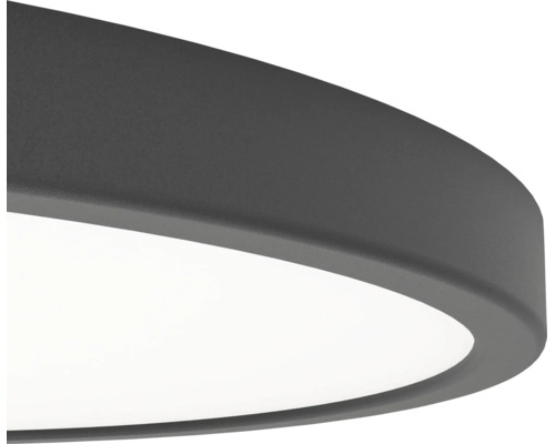 Detailopname van een platte, ronde LED-plafondlamp met een donkergrijs metalen frame en witte diffuser.