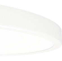 Ronde, platte plafondlamp in het wit met een mat oppervlak.