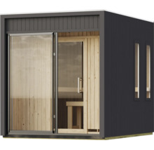 Moderne tuinsauna met houten binnenwanden, glazen pui en smalle zijramen in een donkere behuizing.