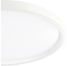 Platte, ronde plafondlamp met wit frame.