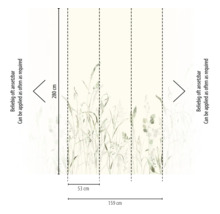 Vliesbehang met grassenmotief, afmetingen 280 centimeter hoogte en 159 centimeter totale breedte, bestaande uit drie banen van elk 53 centimeter, eindeloos herhaalbaar.