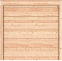 Houten tuinscherm met horizontale planken en een omlijsting.