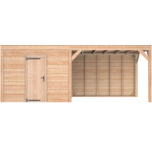 Houten tuinhuis met overkapping, enkele deur met metalen beslag, open berging.