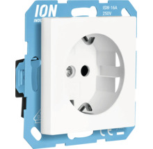 Wandcontactdoos met randaarde van ION INDUSTRIES met blauw montageframe, 16 ampère, 250 volt.