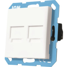 Tweevoudige netwerkaansluiting met blauwe draagring voor RJ45 Keystone-modules, inbouwelement in wit.