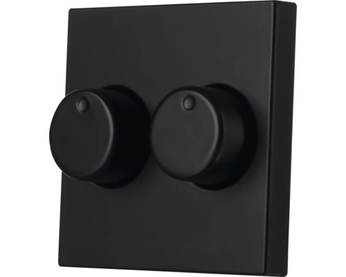 Zwarte tweevoudige draaidimmer met twee draaiknoppen op een vierkante afdekplaat.