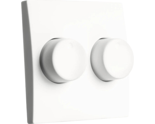 Een dubbele draaidimmer met twee ronde bedieningsknoppen op een vierkante afdekplaat voor lichtregulering.