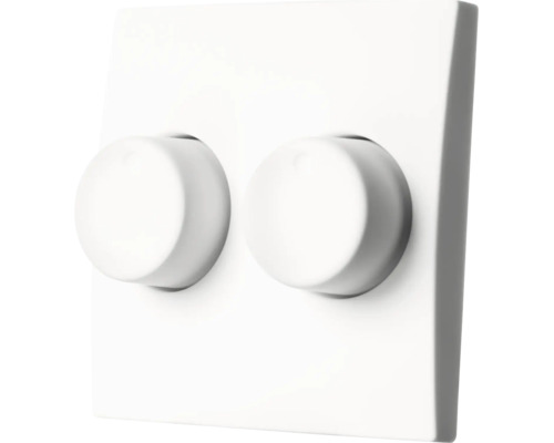 Dubbele draaidimmer met twee ronde draaiknoppen op een vierkante afdekplaat