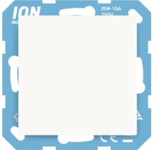 ION Industries wandschakelaar module 16 Ampère 250 Volt, inbouwschakelaar