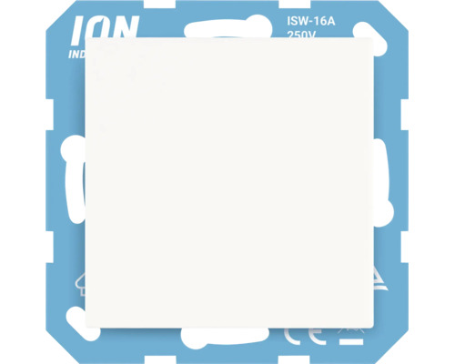 ION Industries wandschakelaar module 16 Ampère 250 Volt, inbouwschakelaar