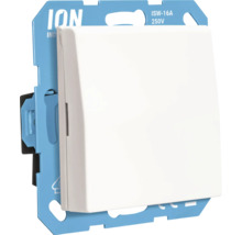 ION Industries lichtschakelaar ISW-16A, 250 Volt, met witte wip en blauwe montagering.