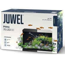 Juwel aquarium starterset Primo 70 LED met een inhoud van circa 70 liter, afmetingen 61 bij 31 bij 43,5 centimeter.