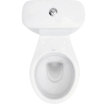 Bovenaanzicht van een wit staand toilet van keramiek met spoelreservoir en chromen bedieningsknop.