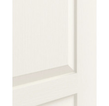 Detailopname van een witte binnendeur met houtstructuur en paneelprofiel.