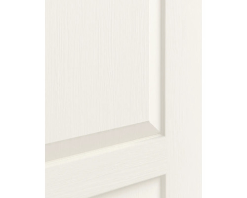 Detailopname van een witte binnendeur met houtstructuur en paneelprofiel.