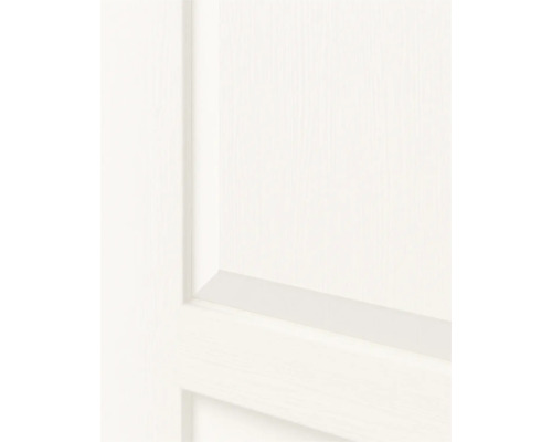 Detailopname van een witte binnendeur met paneelstructuur en fijne houtnerf.