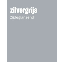 Kleurenkaart in zilvergrijs met zijdeglanzende glansgraad