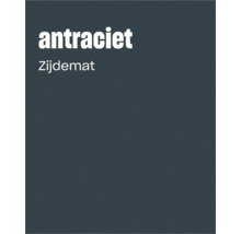 Kleurenstaal toont de kleur antraciet in zijdematte uitvoering