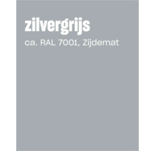 Kleurkaart in zilvergrijs circa RAL 7001 zijdemat