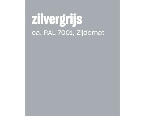 Kleurkaart in zilvergrijs circa RAL 7001 zijdemat