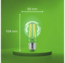 Philips LED filament lamp met 60 millimeter diameter en 104 millimeter totale hoogte.
