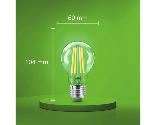 Philips LED filament lamp met 60 millimeter diameter en 104 millimeter totale hoogte.