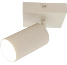Een enkele plafondspot met een geribbelde cilindrische lampkop voor directe verlichting.