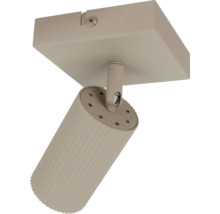 Een enkele plafondspot met een geribbelde, cilindrische lampkop en vierkante plafondbevestiging.