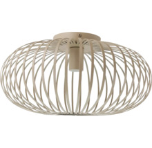 Moderne metalen plafondlamp met een kooiachtige lampenkap in een ronde vorm voor een indirect lichtontwerp.