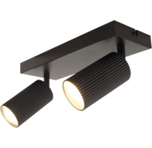 Tweevoudige plafondspot met geribbelde cilindrische lichtkoppen voor gerichte verlichting in moderne woonruimtes