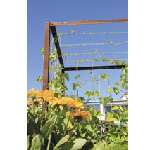 Metalen klimrek met roestoptiek en horizontaal gespannen draden, begroeid met groene bonenplanten, met gele bloemen op de voorgrond.