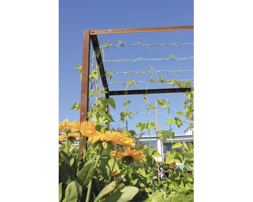 Metalen klimrek met roestoptiek en horizontaal gespannen draden, begroeid met groene bonenplanten, met gele bloemen op de voorgrond.