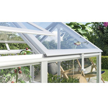 Geopend dakraam van een kas met aluminium frame en glazen panelen, met zicht op tuinplanten en tomaten.