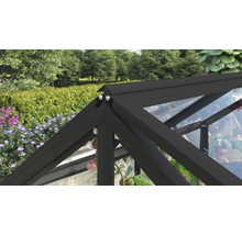 Detailopname van de nok van een kas met een donker aluminium frame en transparante beglazing tegen een achtergrond van een tuin.
