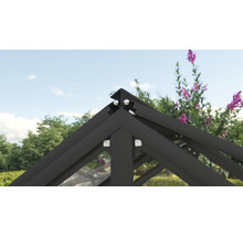 Detailopname van de dakconstructie van een kas met een zwart aluminium frame.