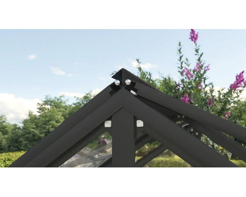 Detailopname van de dakconstructie van een kas met een zwart aluminium frame.