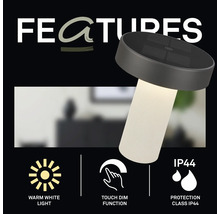 LED tafellamp met touch dimfunctie, warm wit licht en beschermingsklasse IP44 voor binnen en buiten.